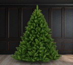 Alberta Spruce Christmas Tree
