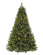 Siberian Spruce Pre-lit Christmas Tree - Warm White LED