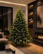 Brunswick Spruce Pre-lit Christmas Tree - Warm White LED 240 CM