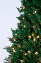 Brunswick Spruce Pre-lit Christmas Tree - Warm White LED 240 CM