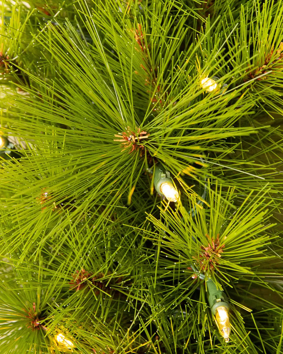 Montgomery Pine Pre-lit Artificial Christmas Tree - Dual LED 210CM