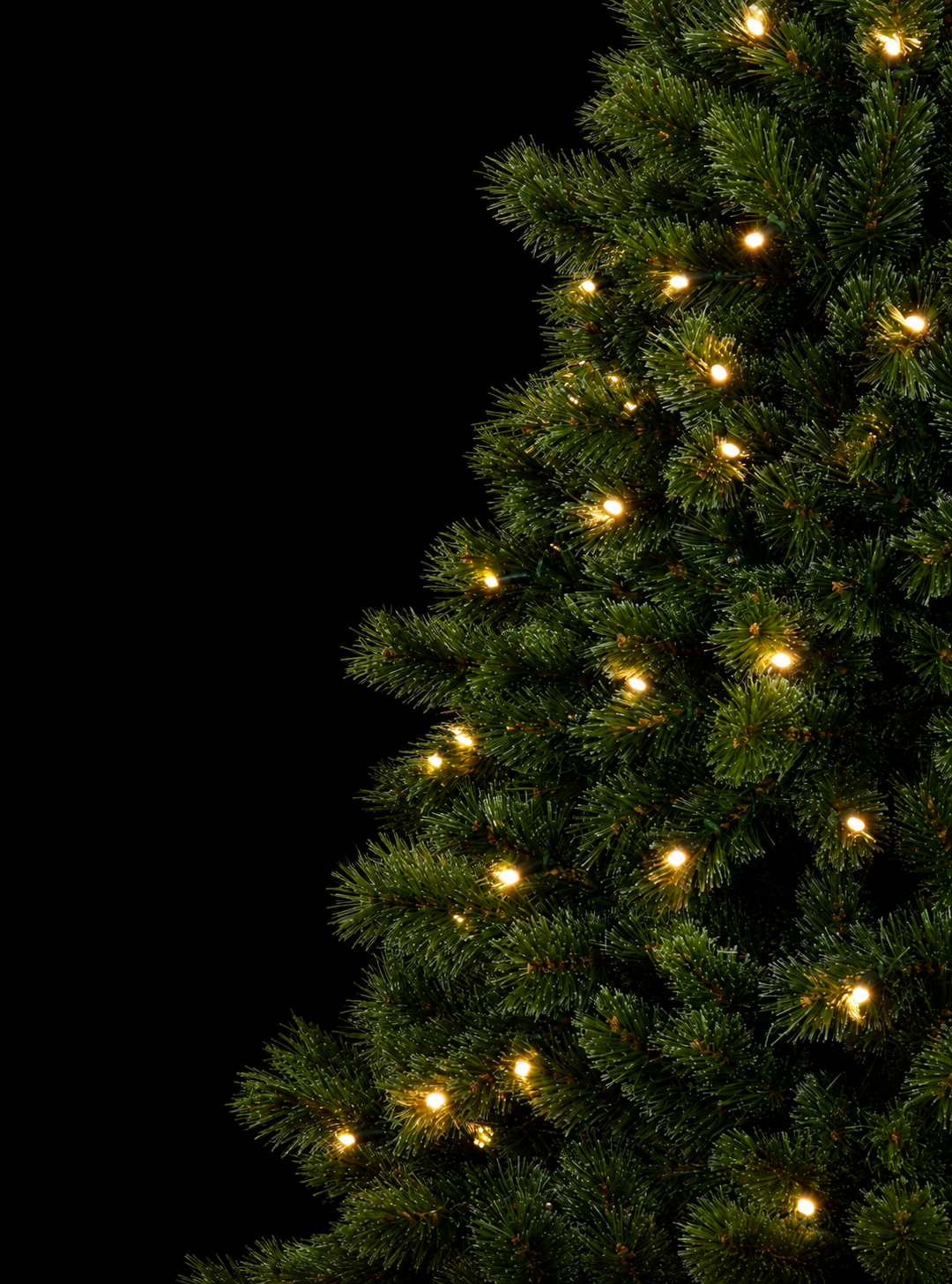 Siberian Spruce Pre-lit Christmas Tree - Dual LED