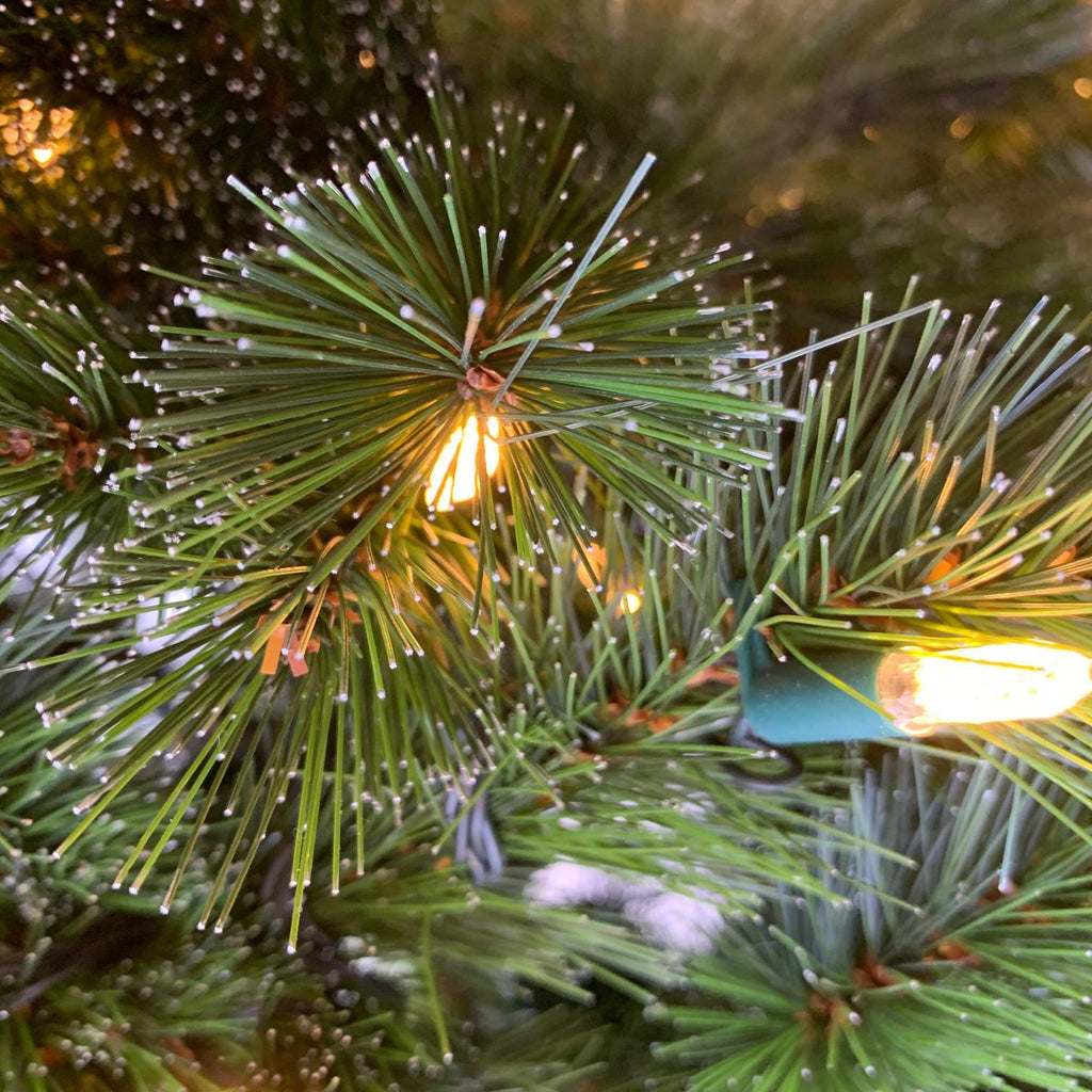 Close-up of a Christmas tree with lights and pine needles