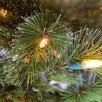 Close-up of a Christmas tree with lights and pine needles