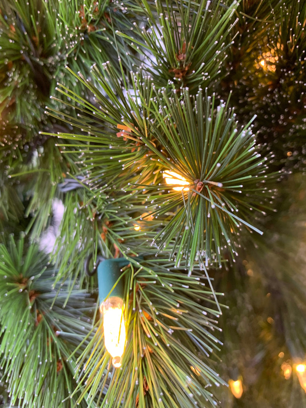 Close-up of a Christmas tree with lights and greenery