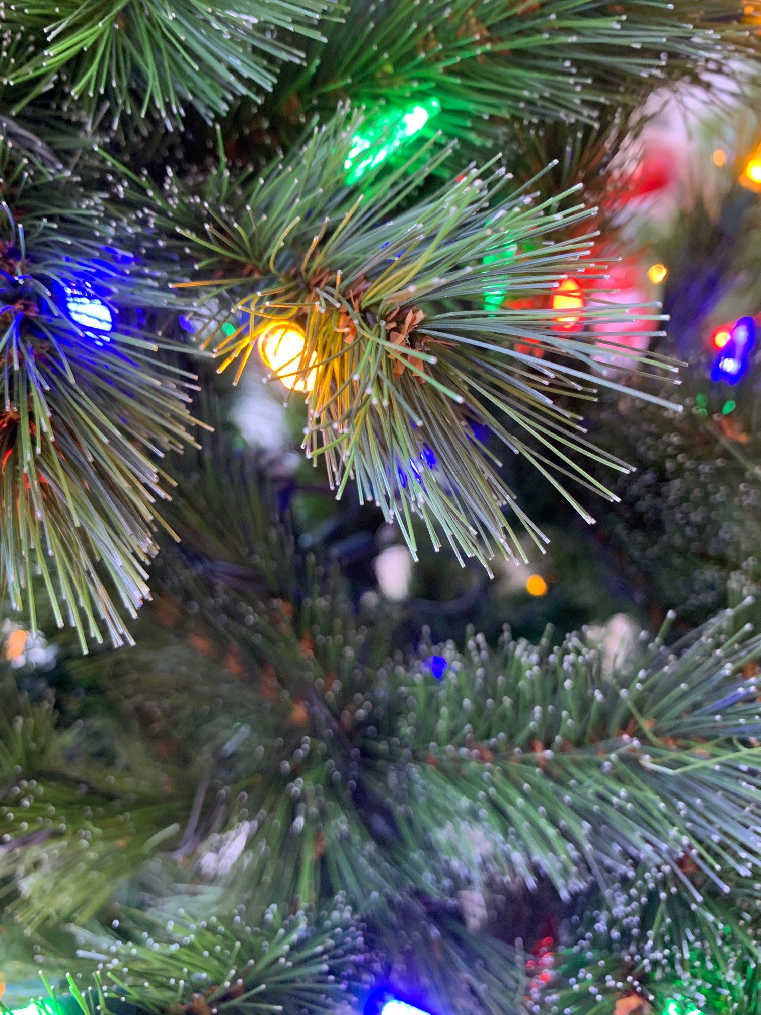 Siberian Spruce Pre-lit Christmas Tree - Dual LED